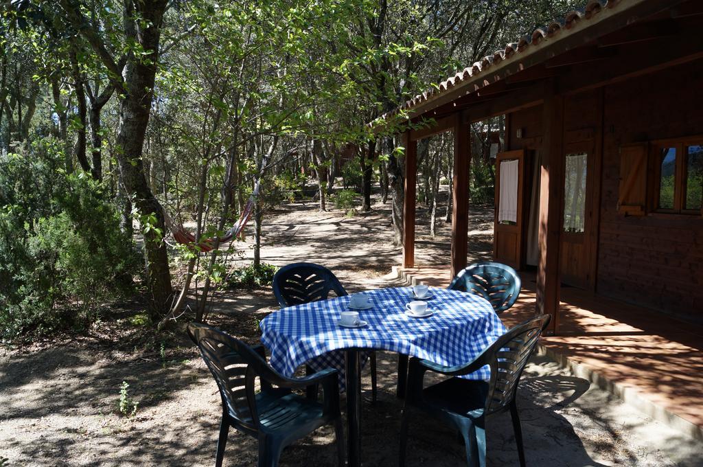 Camping Maçanet de Cabrenys Exterior foto